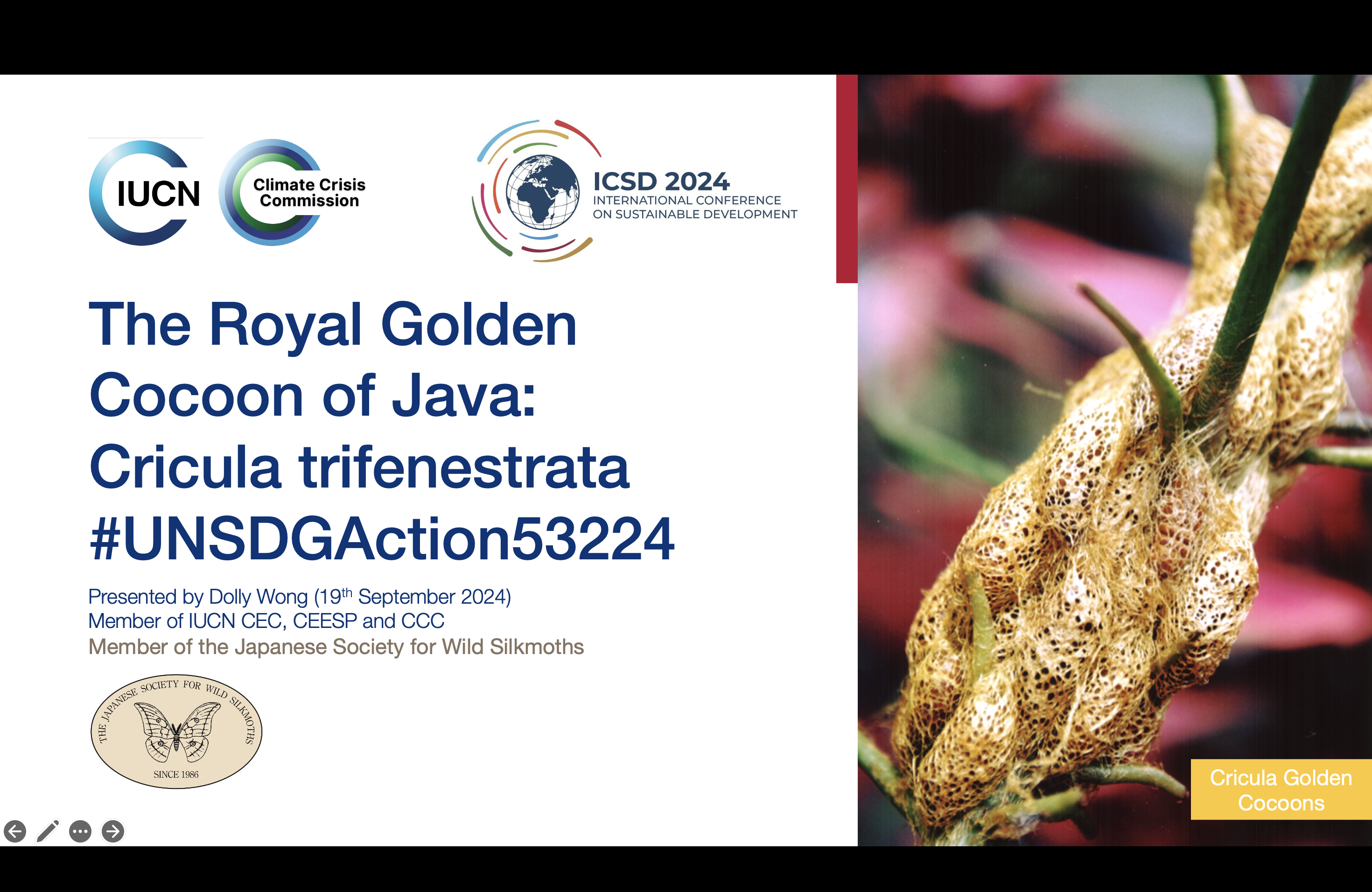 12th Annual International Conference on Sustainable Development (ICSD) 2024