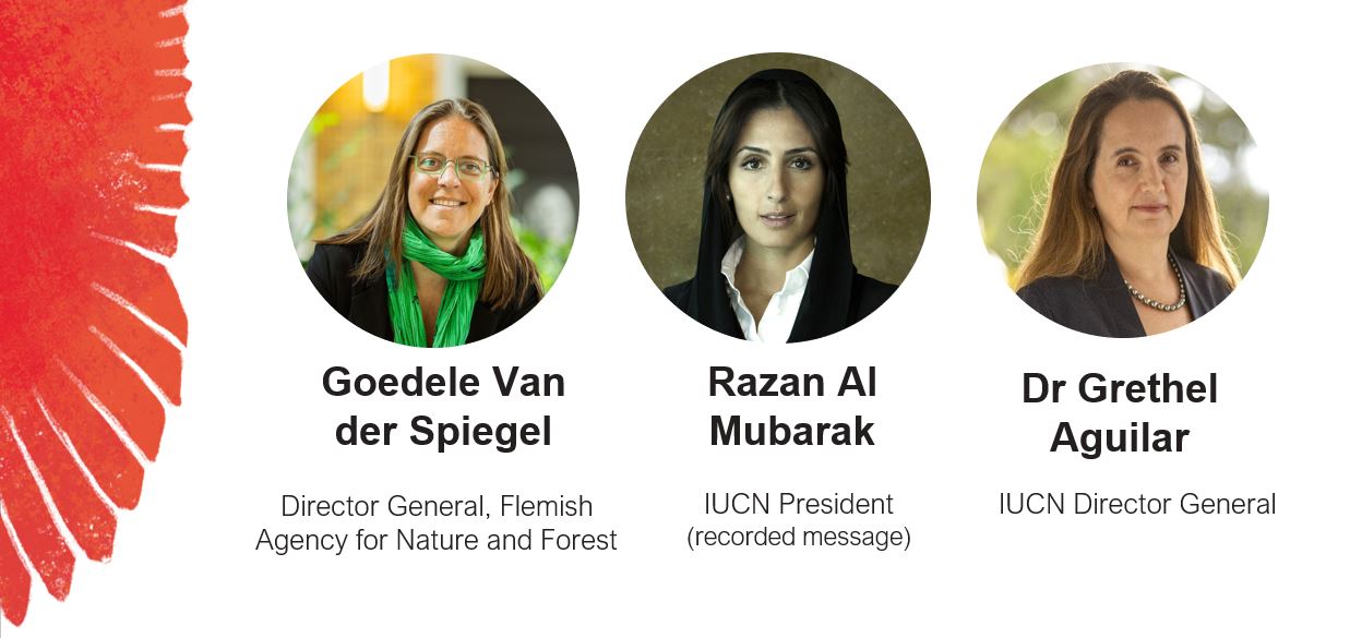 Opening speakers