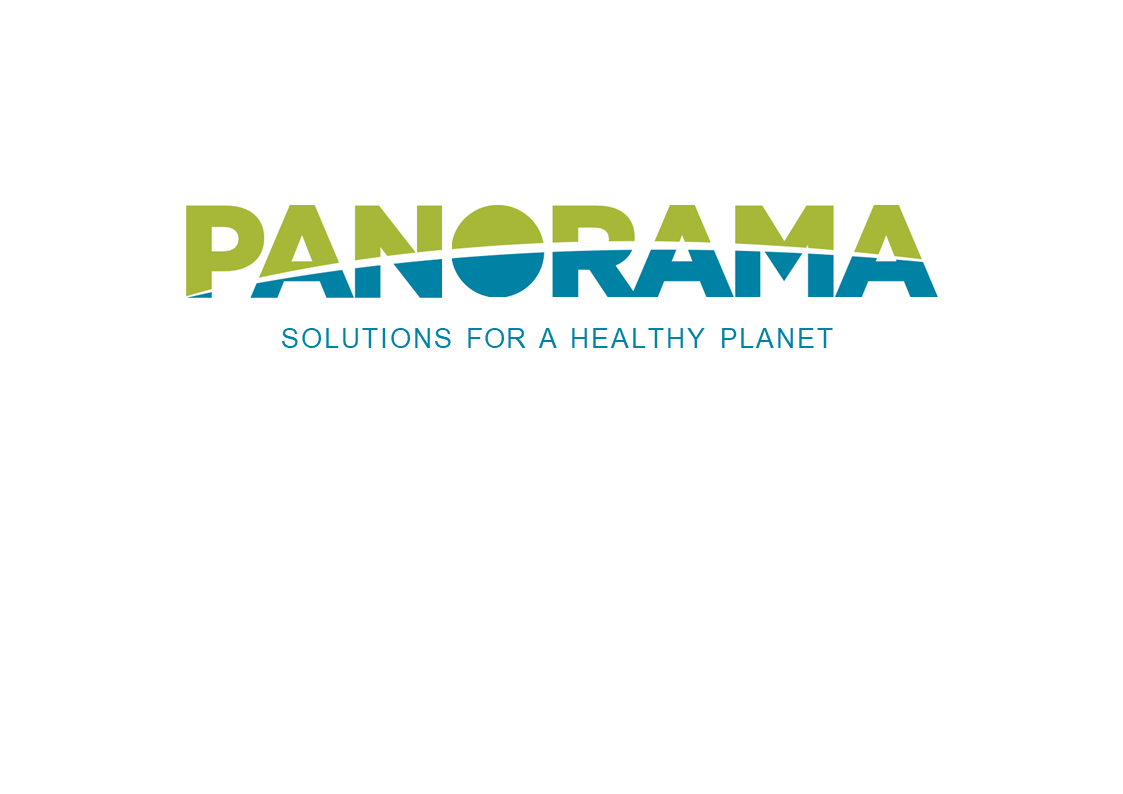 PANORAMA Logo